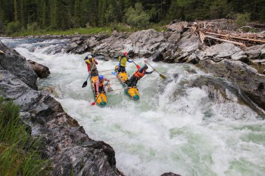 Altay Cumhuriyeti / Rusya - 30 Haziran 2016: Extreme Bashkaus nehirde rafting, aşırı sporcular zor türbin hızlı bir katamaran üzerinde git. Altay ve Sibirya güzellik temiz hava