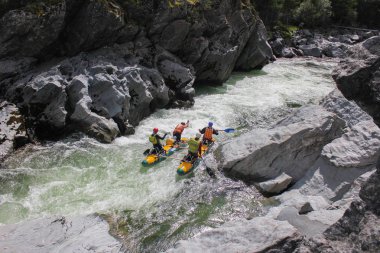  Extreme rafting on the Bashkaus River, extreme sportsmen go thran, Russia, the Altai Republic.  Clean air of Altai and the beauty of Siberiaough the difficult turbine rapid on a catamar clipart