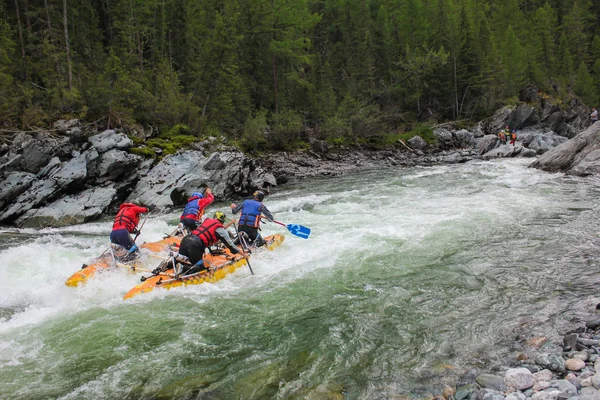  Aşırı Bashkaus nehirde rafting aşırı sporcular gitmek zor türbin hızlı bir katamaran üzerinde Rusya, Altay Cumhuriyeti. Altay ve Sibirya güzellik temiz hava