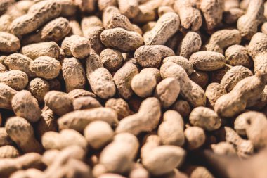 Kapat-up.Peanut bir kabuk doku. fıstık yemek arka plan. Fıstık kabuğu. Yumuşak odak