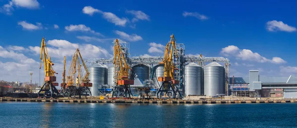 Levage de grues à cargaison, navires et sèche-grain dans le port maritime d'Odessa, mer Noire, Ukraine — Photo