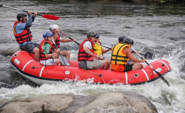 Tara, Karadağ-Haziran 14 2018: rafting ekibi, yaz aşırı su sporu. Bir rafting teknesinde insanlar grubu, nehirde güzel adrenalin yolculuğu.
