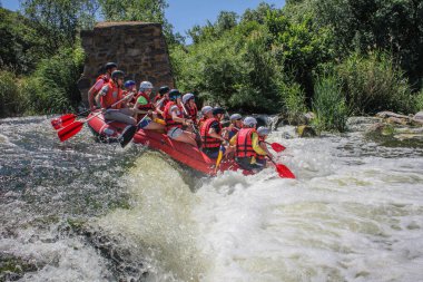 Tara, Karadağ-Haziran 14 2018: rafting ekibi, yaz aşırı su sporu. Bir rafting teknesinde insanlar grubu, nehirde güzel adrenalin yolculuğu.