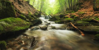Dere yoğun bir ormanın içinden akıyor. Uzun pozlama. Konsept - Kaybolan Tatlı Su