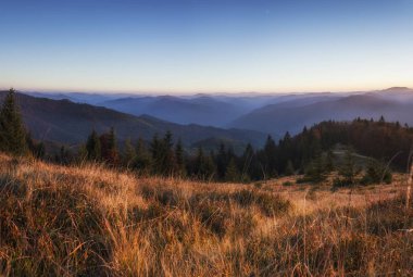 Bir tepe üzerinde harika altın ışık ile bir Karpat dağ vadisinde gün batımı Panoraması. Sonbahar akşamı dağ manzarası, ormanda altın güneş ışığı ve gökyüzünde pembe akşam parıltısı.