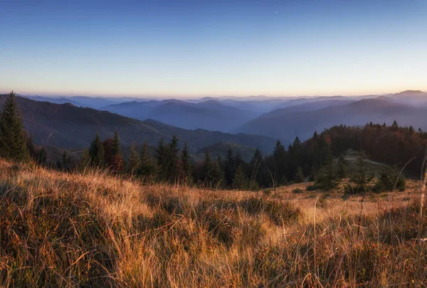 Panorama of sunset in a Carpathian mountain valley with wonderful gold light on a hills. Autumn evening mountain landscape, golden sunlight on forest and pink evening glow in sky. — Stock Photo, Image