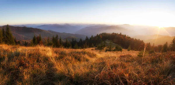 Panorama of sunset in a Carpathian mountain valley with wonderful gold light on a hills. Autumn evening mountain landscape, golden sunlight on forest and pink evening glow in sky. — Stock Photo, Image