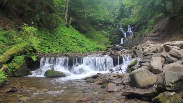 Long Exposure Panorama Rainforest Cascades Waterfalls Semuc Champey Peten Jungle — Stock Video