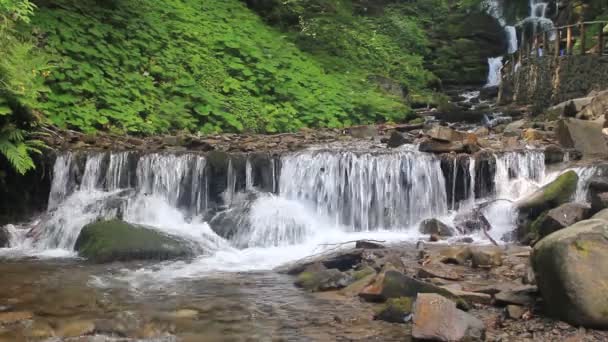 在危地马拉的佩滕丛林和雨林中 有塞姆克 尚佩瀑布的热带雨林全景 噪音和大颗粒 电影下的风格 软对焦 — 图库视频影像