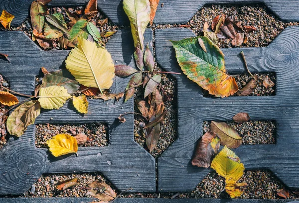 Žluté listy na tmavém pozadí. Textura, podzimní listí na chodníku v zahradě. Podzimní krajina. — Stock fotografie