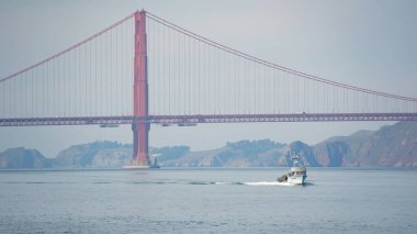 Ormandaki kayanın üzerindeki kartal kuşu.