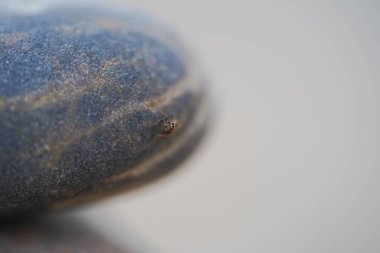 Geçmişi bulanık siyah beyaz bir taşın yakın plan çekimi.