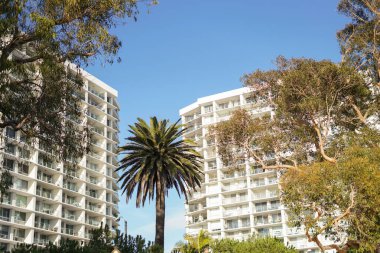 San Diego, California plajı manzarası