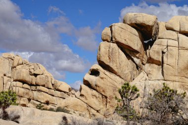 Joshua Tree Ulusal Parkı 'ndaki kaya oluşumları.