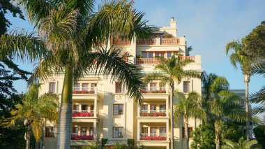 Tatil köyünde palmiye ağaçları olan otel..