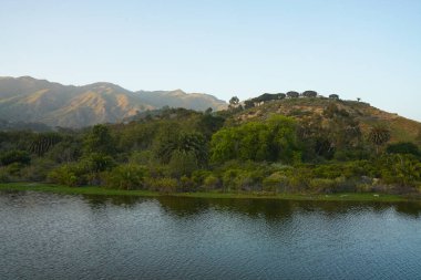 Parkta ağaçlarla çevrili güzel bir nehir görüntüsü.