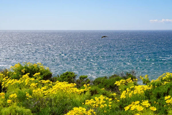 Deniz kıyısının güzel manzarası