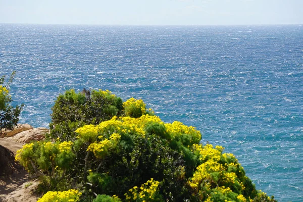 kayalık sahil ve deniz