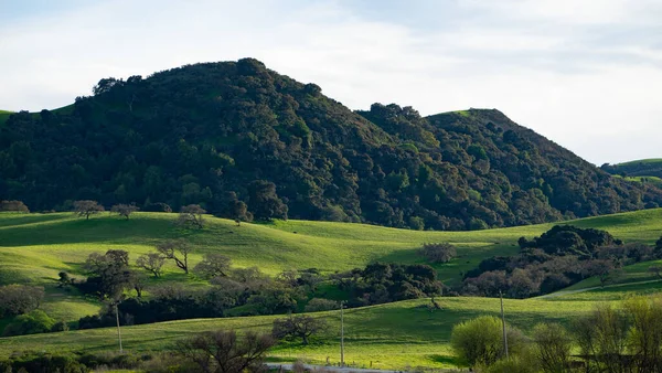 Yeşil ağaçlı tepelerin manzarası