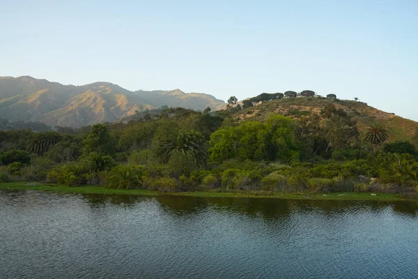 Parkta ağaçlarla çevrili güzel bir nehir görüntüsü.