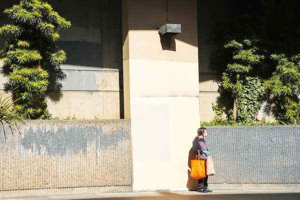 Hintli kadın parkta