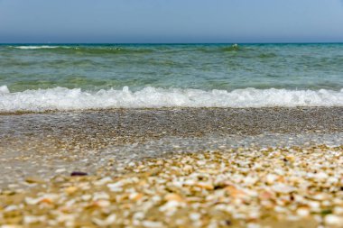 Bir yığın, kum ve deniz kabukları.