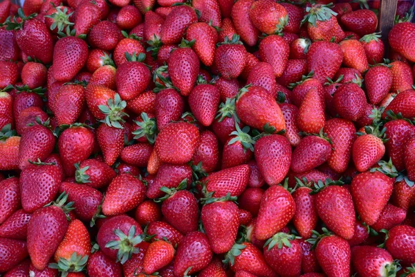 Jordbær baggrund. Jordbær. Madbaggrund. jordbærbaggrund - Stock-foto
