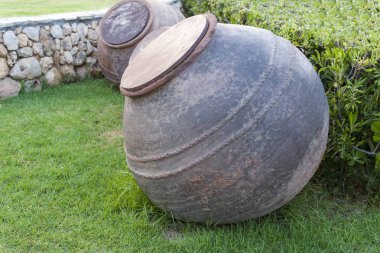 Büyük zeytinyağı varil ve zeytin ağaçları.