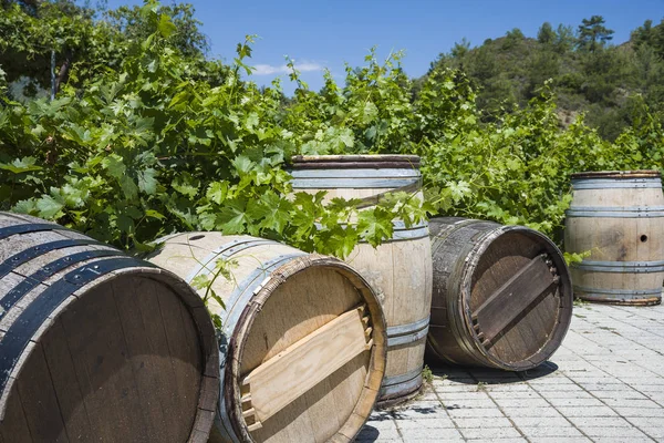 Wine barrels Wine barrels and Vineyards wine barrels.