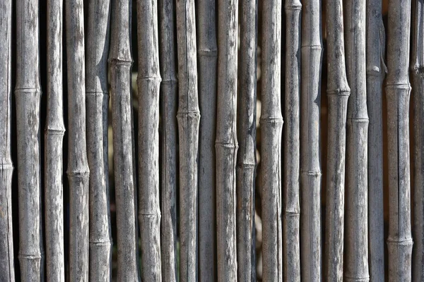 竹の背景乾燥竹の背景。旧式なパターン, — ストック写真