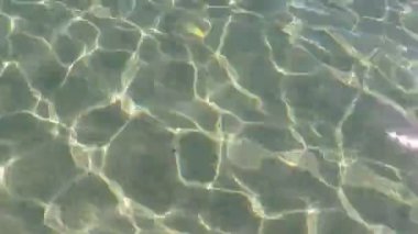 Güneş denizin dibinde oynuyordu..