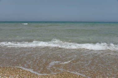 Kumlu bir sahilde deniz kabuğu