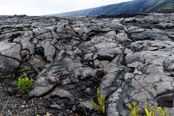 Över Massiva Pahoehoe Lava Flow Volcano National Park Hawaiis Big — Stockfoto