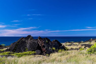 Yanardağ Milli Parkı 'nda Hawaii 'nin Big Island engebeli kıyı şeridi görünümü. Siyah volkanik kayalar ve bitki örtüsü ön planda; derin mavi Pasifik Okyanusu ve gökyüzü mesafedir. 