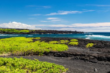 Siyah Sand Beach (Punaluu) Hawaii büyük Adası üzerinde; siyah volkanik kaya ve doğal bitki örtüsü ile (naupaka) ön planda, mavi okyanus ve dalgalar arka planda. 