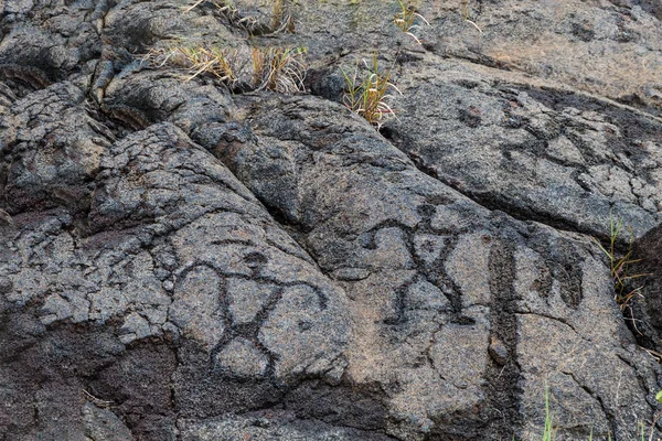Petroglyphs Uloa Long Hill Chain Craters Road Volcano National Park — Stock Photo, Image