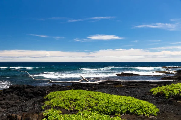 Plage Sable Noir Punaluu Sur Grande Île Hawaï Roche Volcanique — Photo