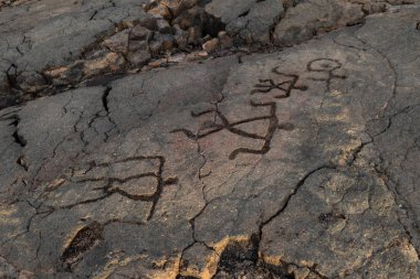 Petroglifler Waikoloa alanında, Kona Hawaii büyük ada üzerinde yakınındaki (