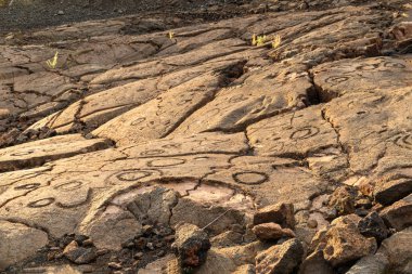 Petroglifler Waikoloa alanında, Kona Hawaii büyük ada üzerinde yakınındaki (