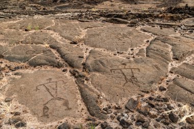 Petroglifler Waikoloa alanında, Kona Hawaii büyük ada üzerinde yakınındaki (