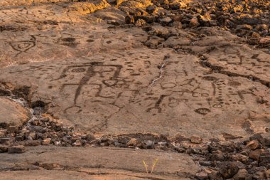 Petroglifler Waikoloa alanında, Kona Hawaii büyük ada üzerinde yakınındaki (
