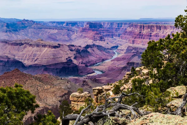 East Grand Canyon Vista Desde South Rim Rocas Pinos Borde — Foto de Stock