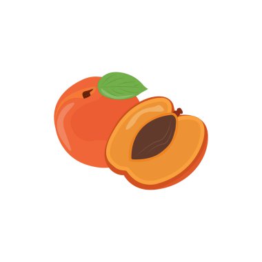 Kayısı Simgesi Vektör Tasarımı.