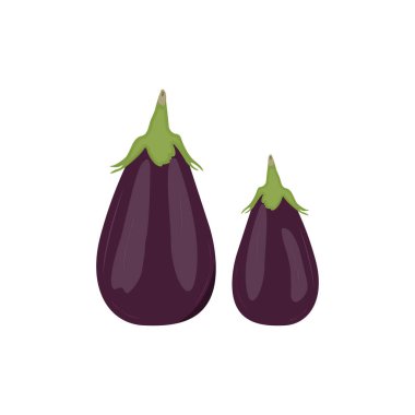 Patlıcan Simgesi Vektör Tasarımı.