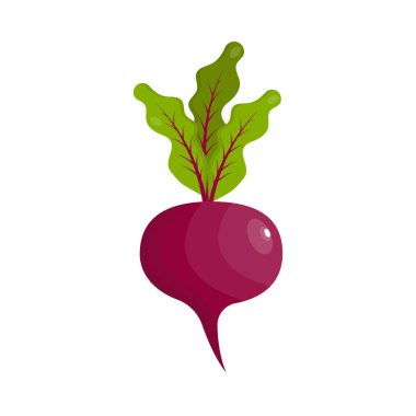 Pancar Sebze Simgesi Vektör Tasarımı.