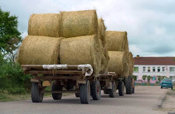 saman rulo olarak tarım makine römork traktör taşımaları demeti saman bükülmüş.