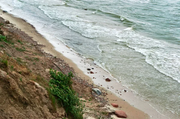 Steilküste Bewachsene Küste Ostseeküste — Stockfoto