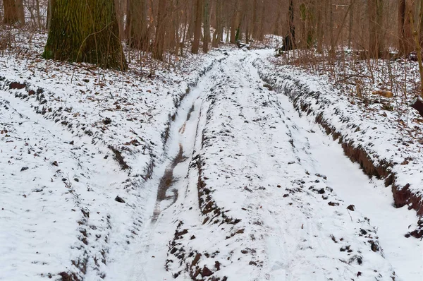 dirty road in the forest covered with snow, deep track on a dirt road