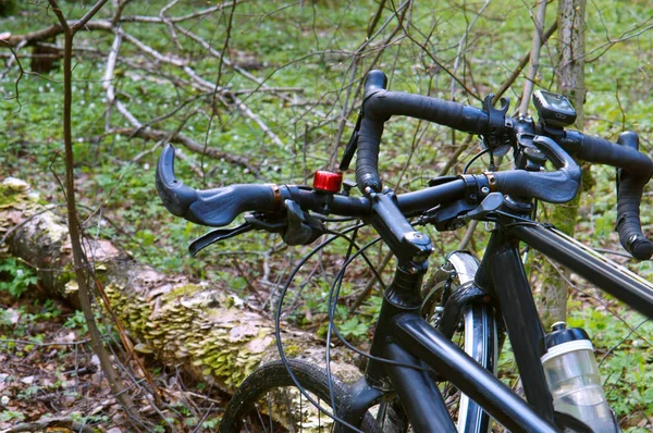 Vélo Dans Forêt Deux Vélos Dans Forêt Vélo Avec Des — Photo