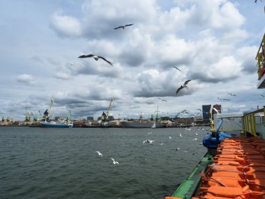 Klaipeda limanı, Litvanya, 24 Haziran 2018. Kuşlar geminin yakınında uçar. Martılar ve gemiye binin..